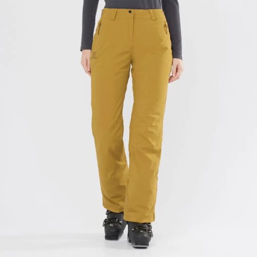 Brown Salomon The Brilliant Women's Ski Pants | PH 49867N